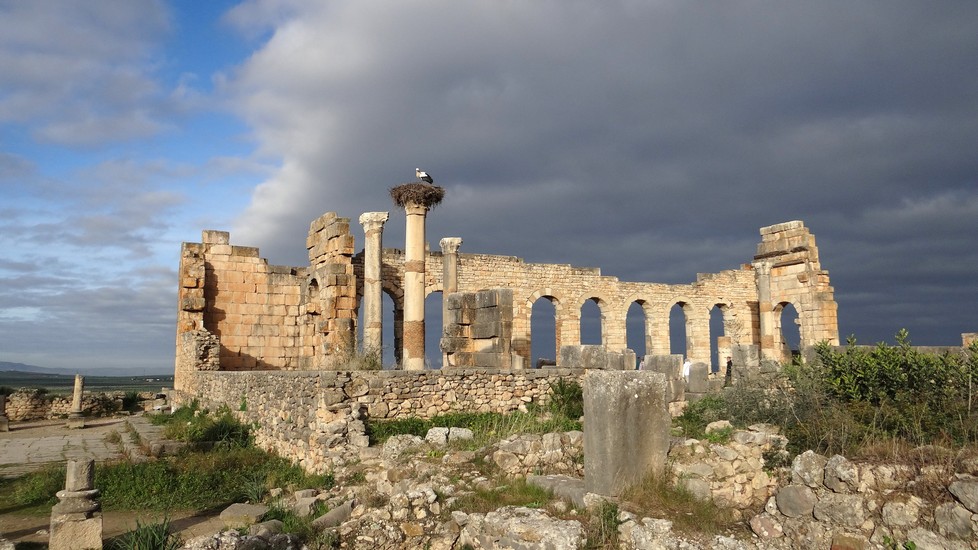 Volubilis1.jpg