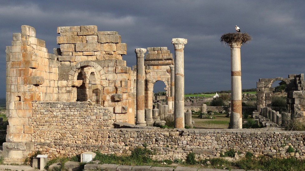 Volubilis2.jpg
