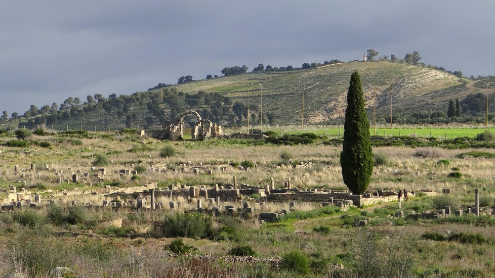 Volubilis3.jpg
