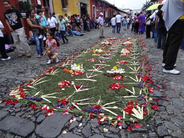 DSC08332 (Small).JPG