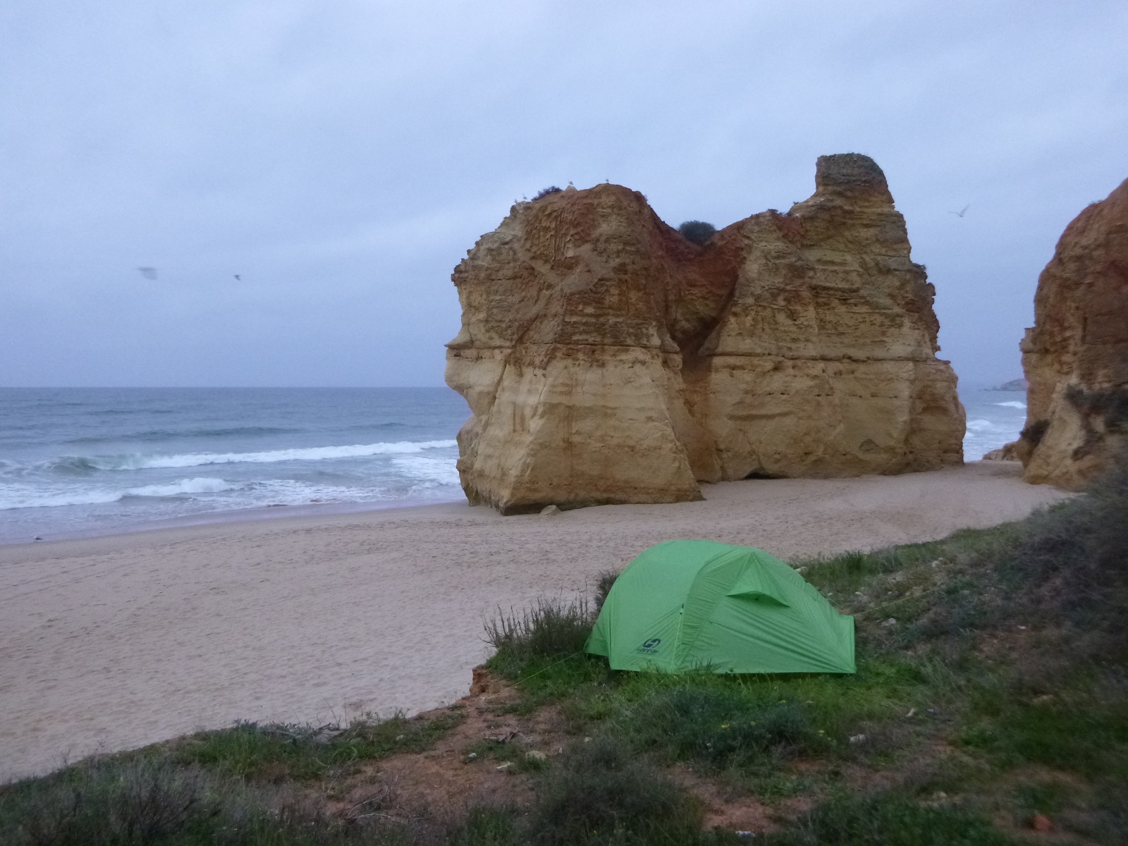P1290430.JPG