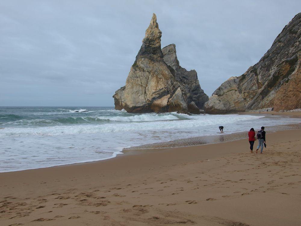 P1012415m.jpg