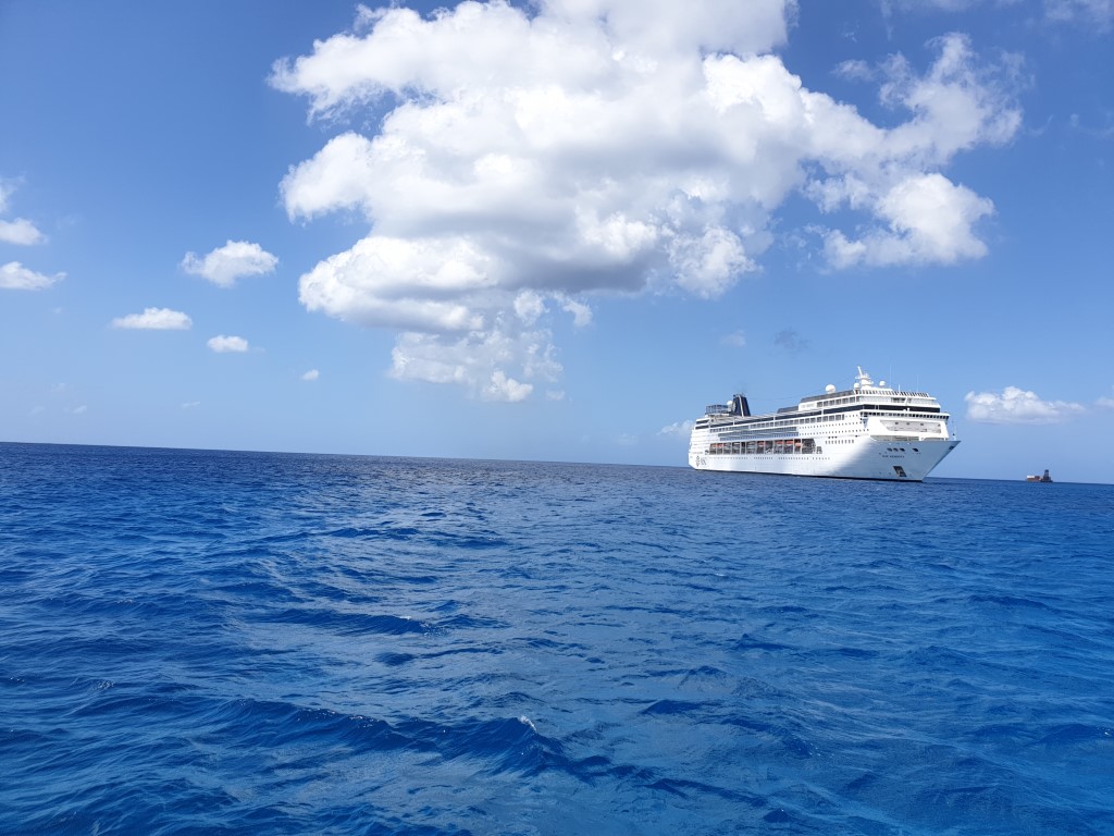 msc_armonia.jpg