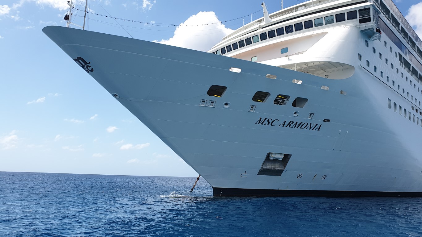 msc_armonia2.jpg