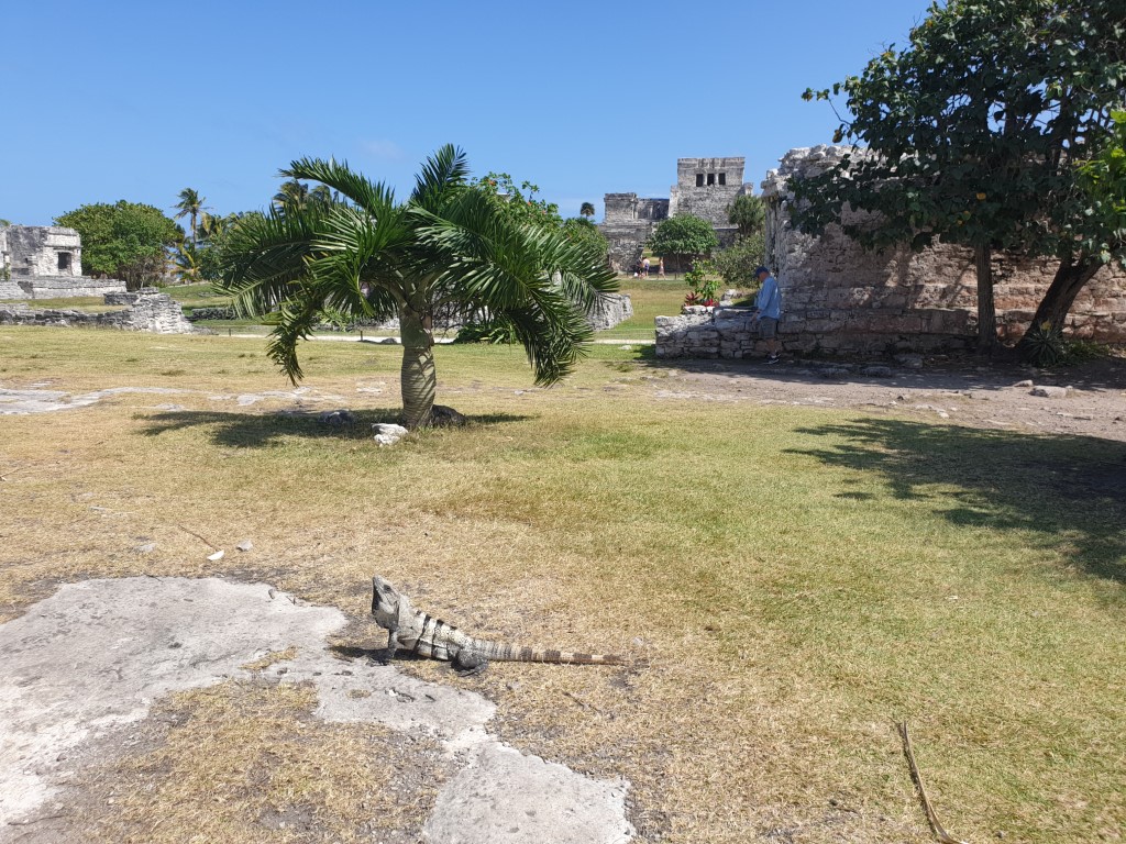 tulum4.jpg
