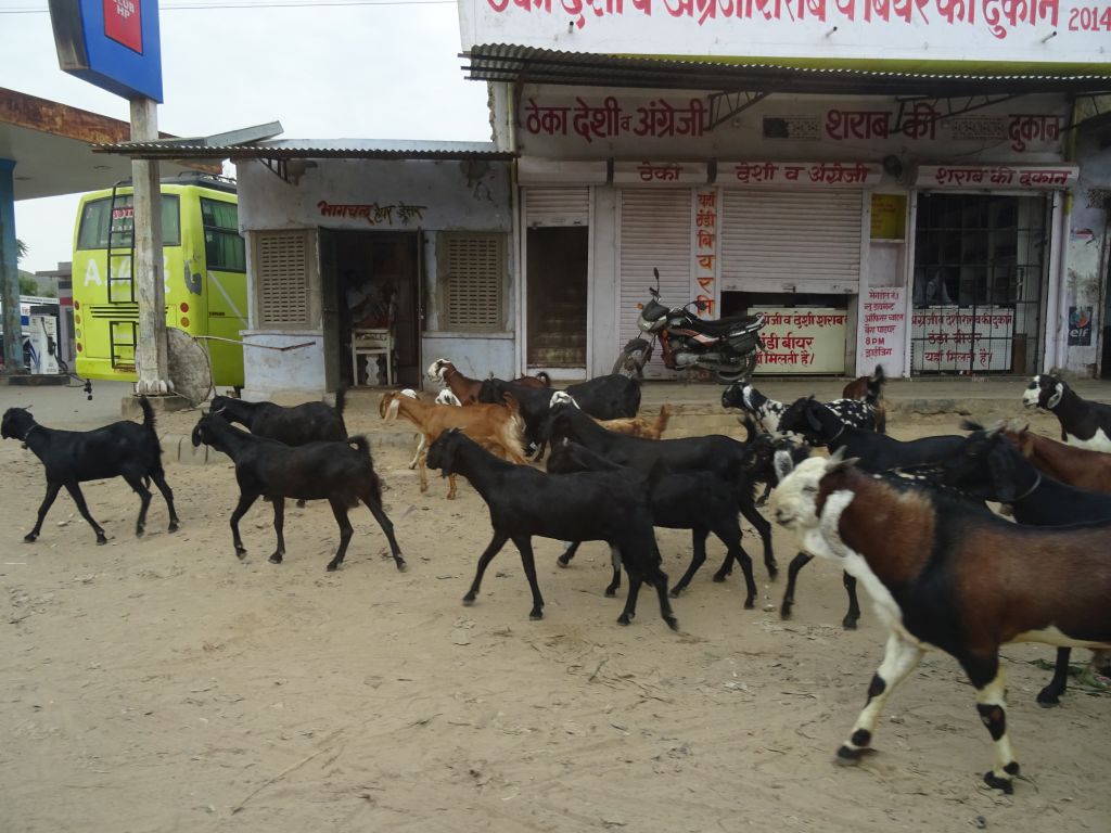 Sawai003.jpg