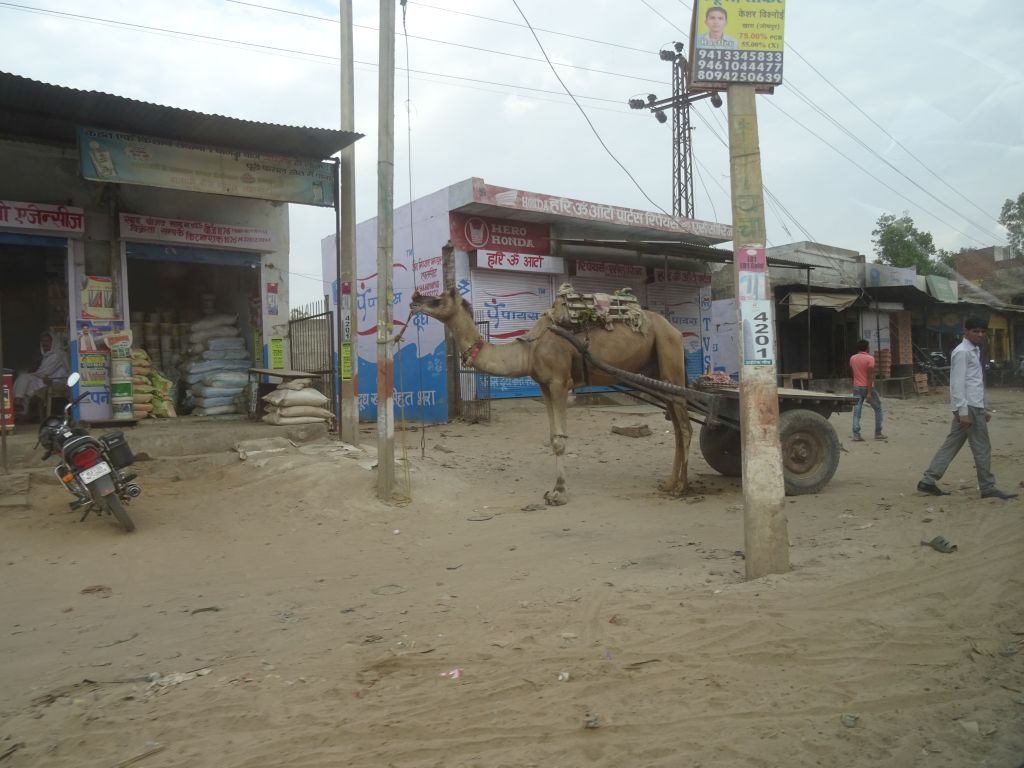 Sawai004.jpg