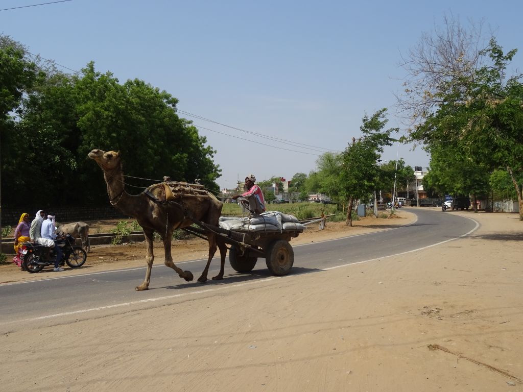 Sawai007.jpg