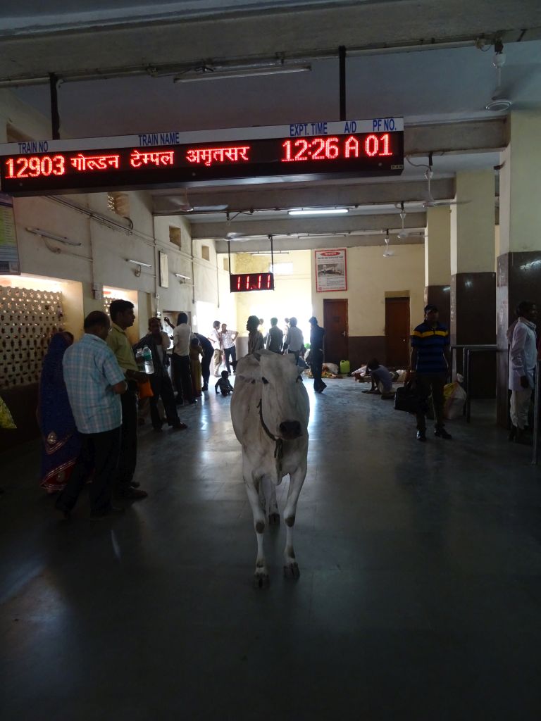 Sawai010.jpg