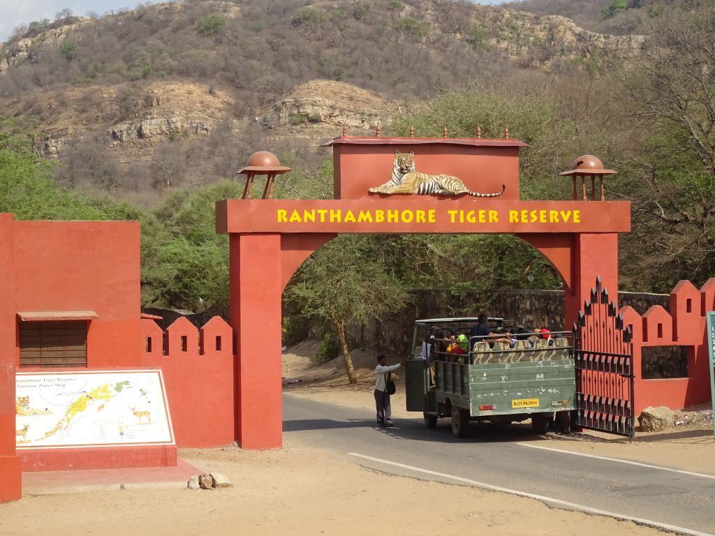 Sawai014.jpg