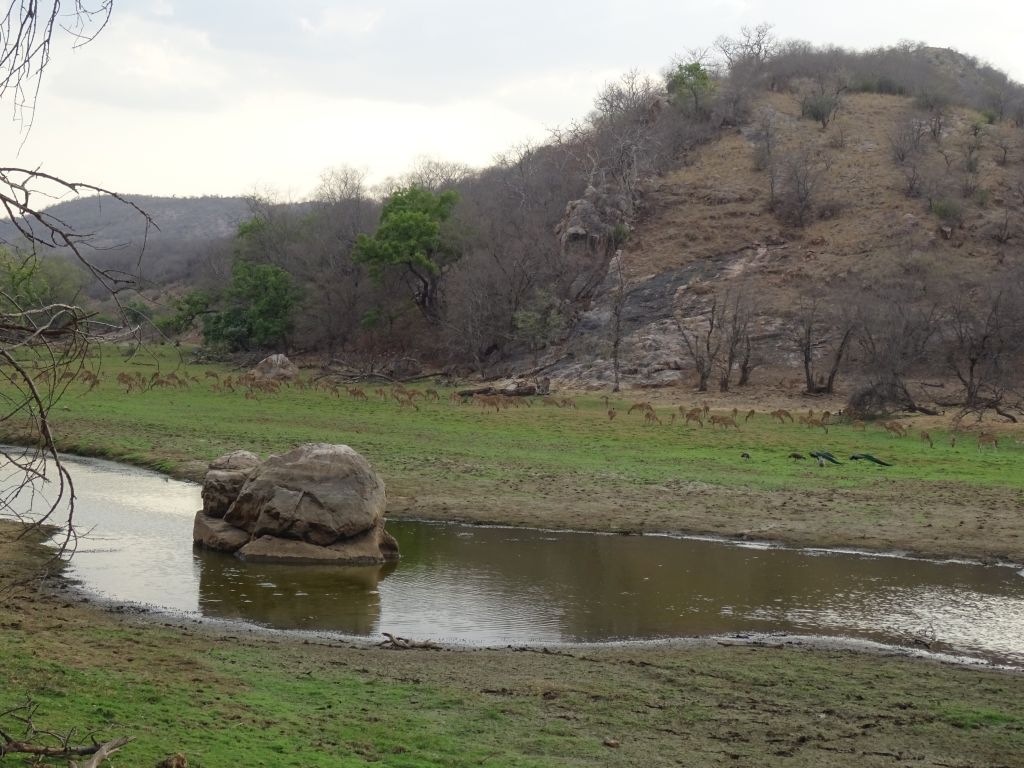 Sawai019.jpg