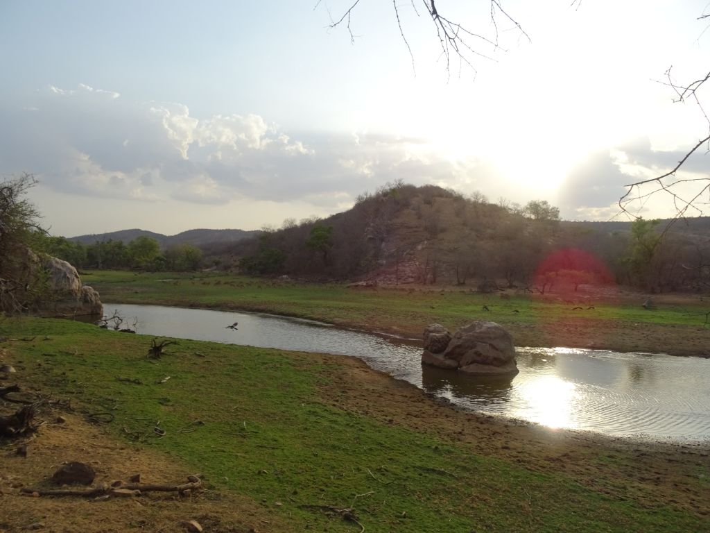 Sawai020.jpg