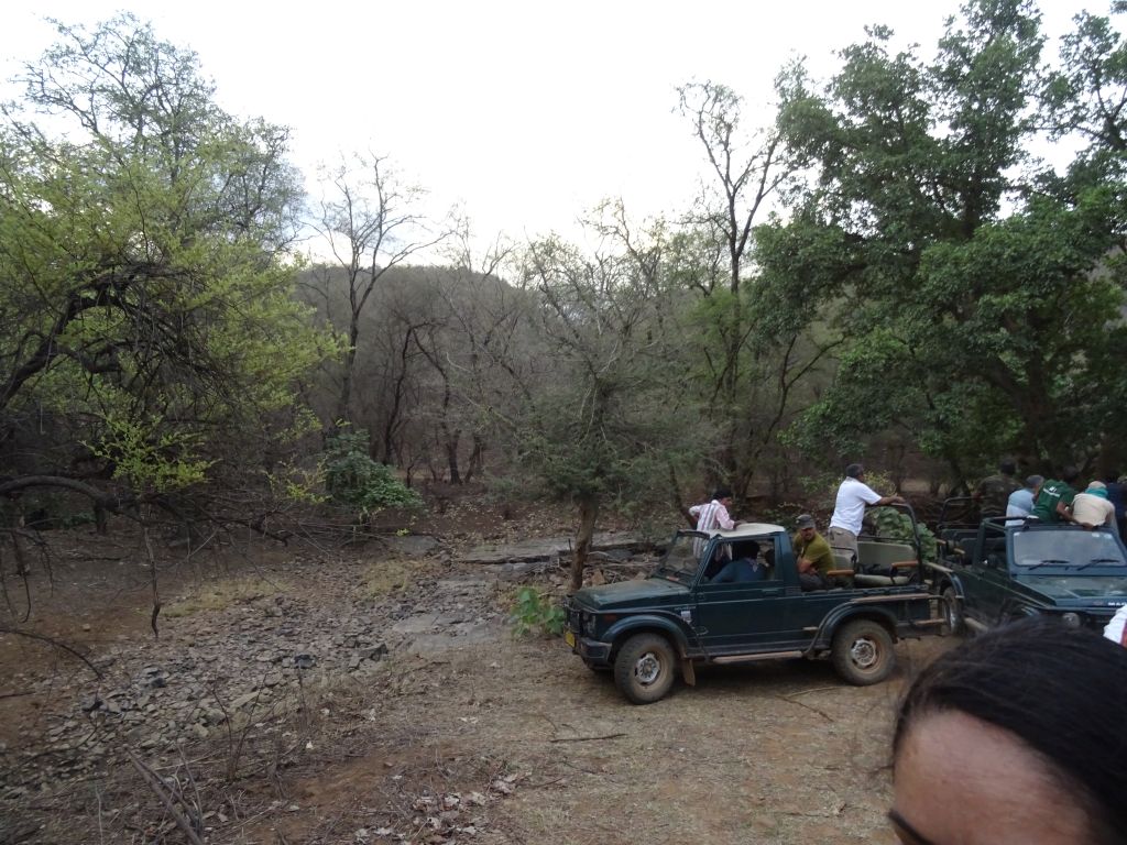 Sawai022.jpg