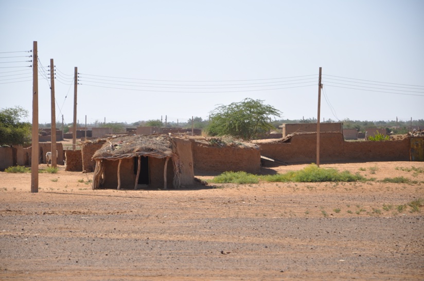 DSC_0745.jpg