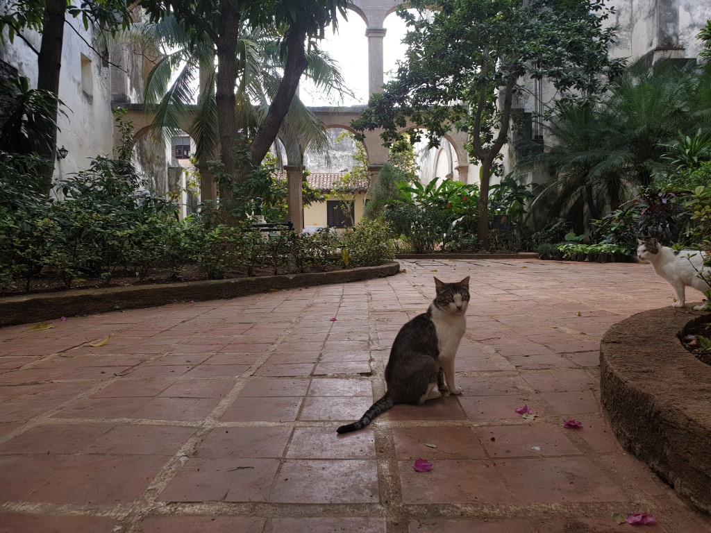 havana_oldtown3.jpg