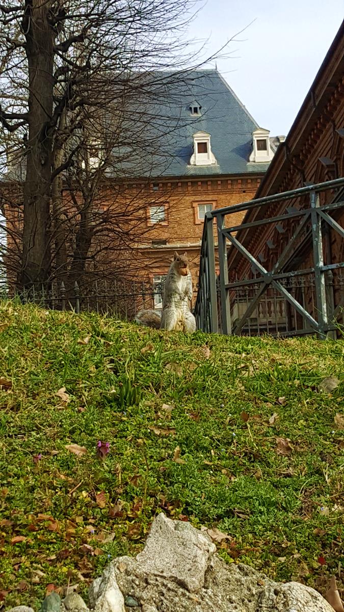 20190302_104140 (Copy).jpg