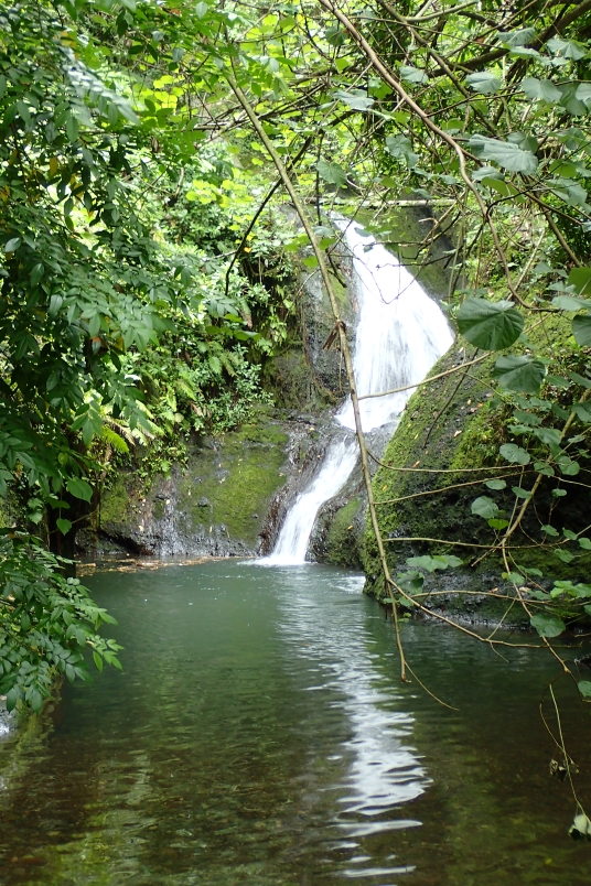 P2222510.JPG