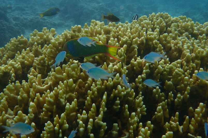 P2222542.JPG