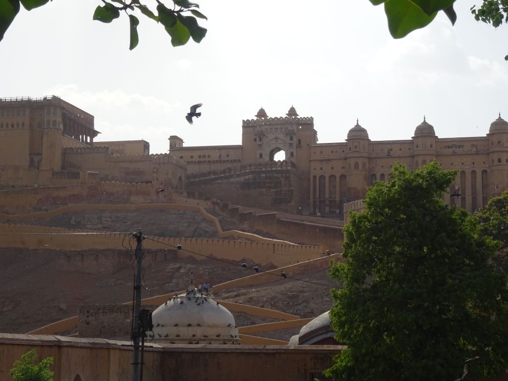 Jaipur009.jpg
