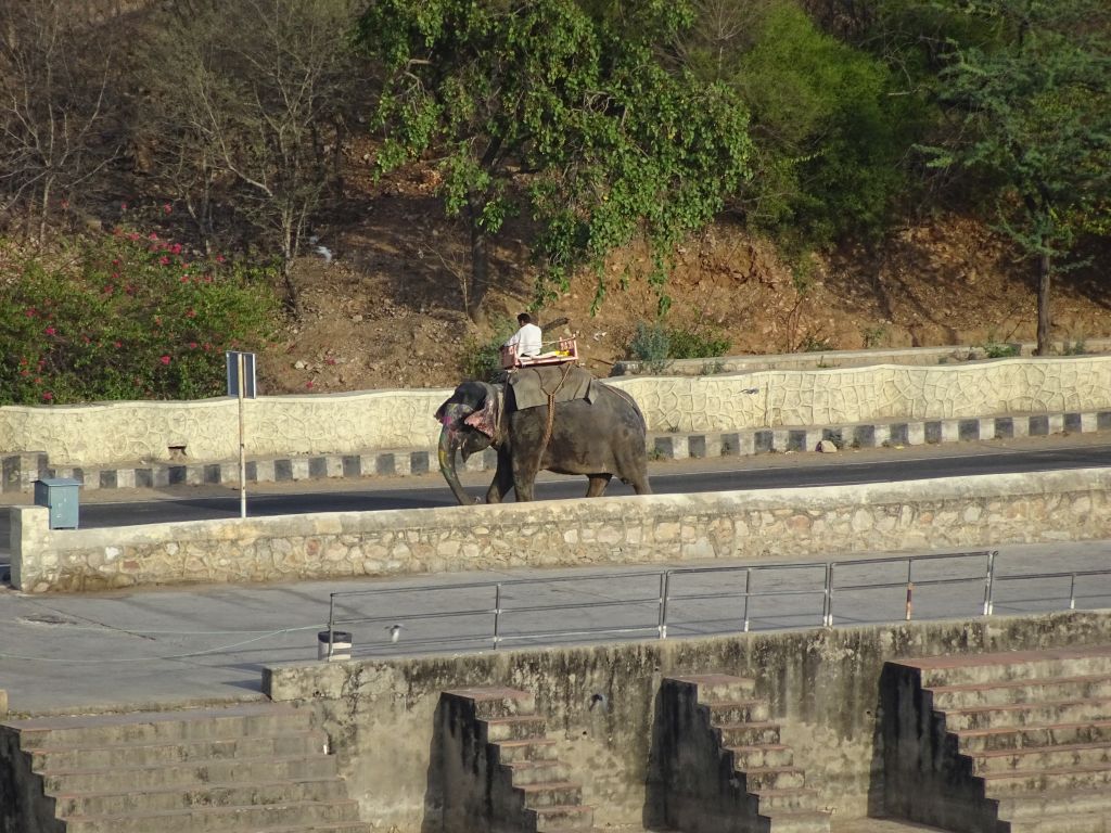 Jaipur019.jpg