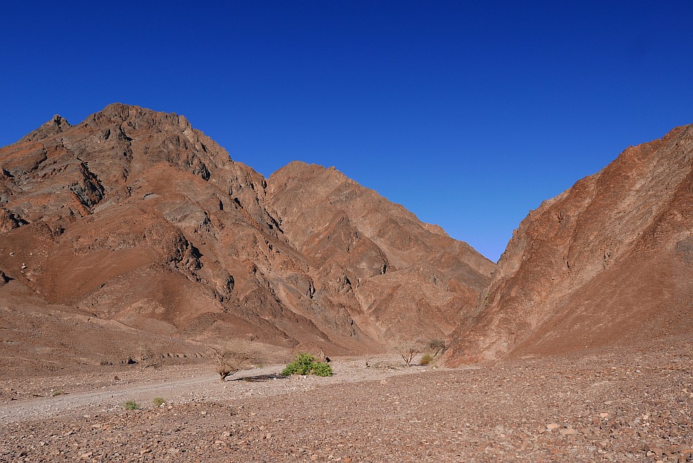 P1080444.jpg