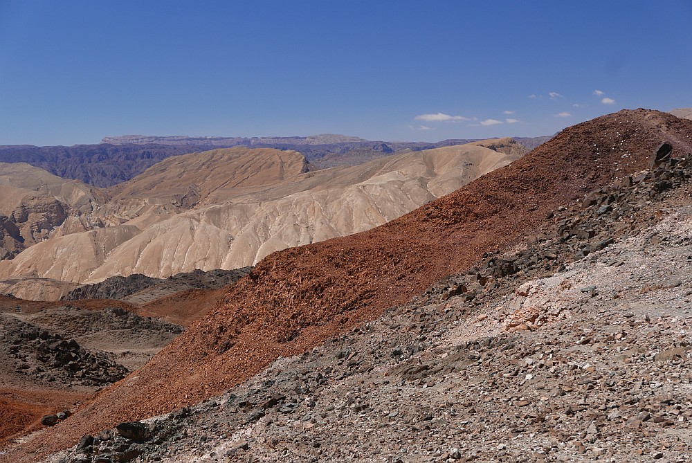 P1080366.jpg