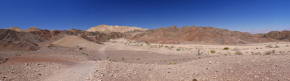P1080381.jpg