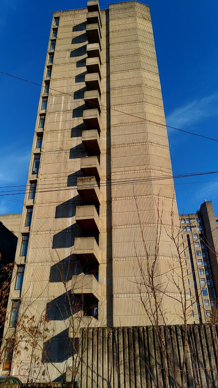P_20190224_150459_vHDR_Auto.jpg