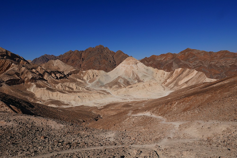 P1080423.jpg