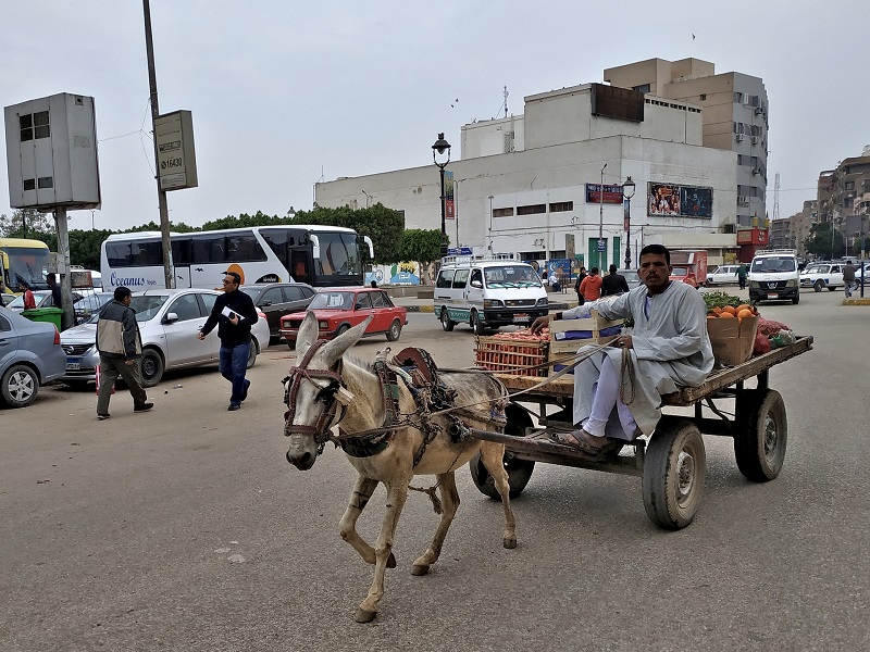 D3_4c Asuan - transport fot. @jasiub.jpg