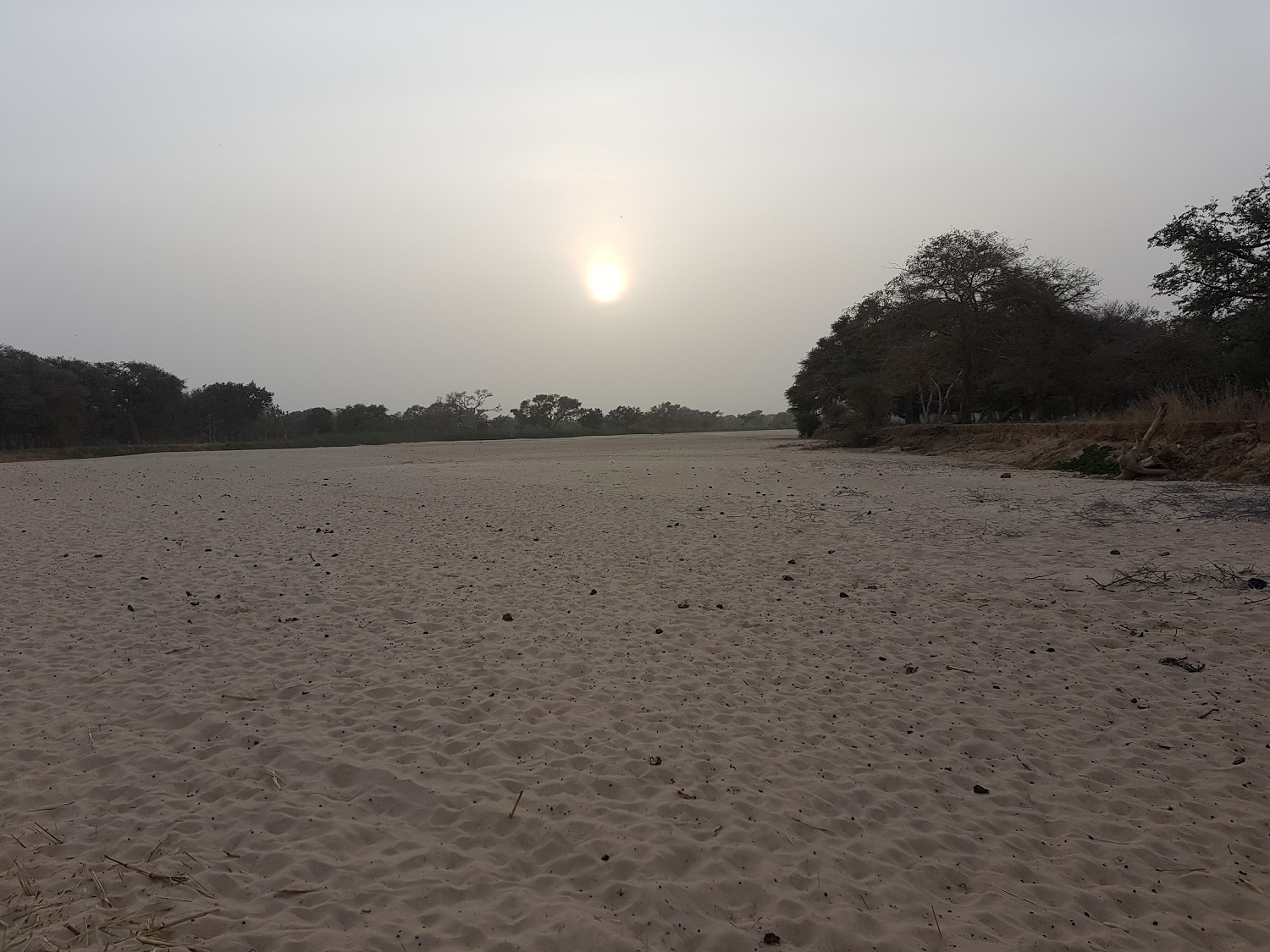 20190222_180041.jpg