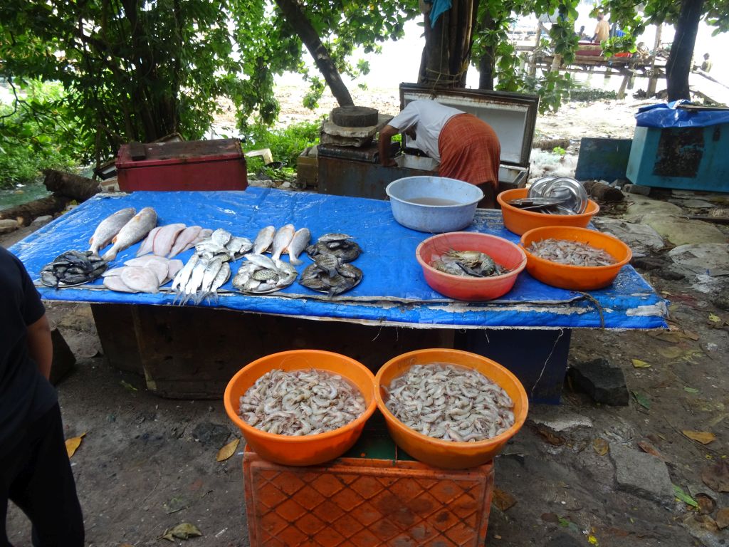 Kochin004.jpg