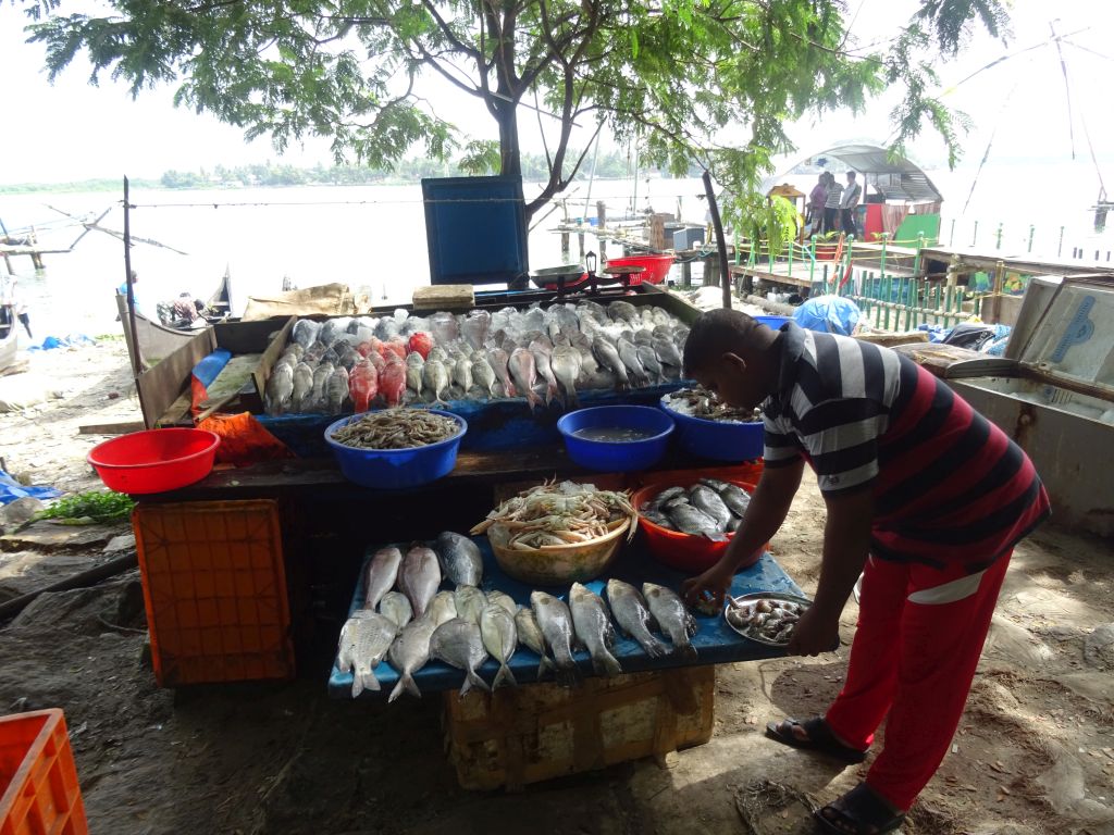 Kochin005.jpg