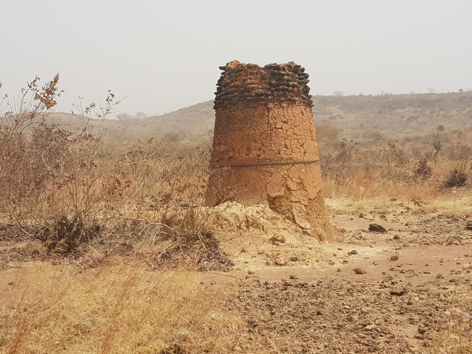 20190224_124927.jpg