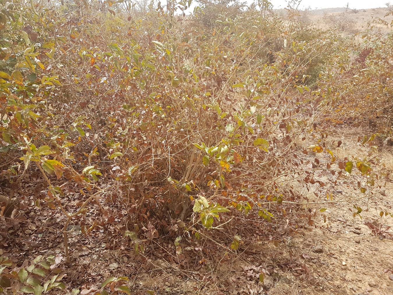 20190224_130227.jpg