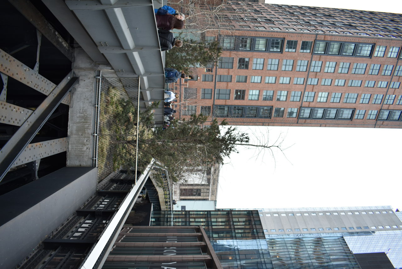 15 High Line I.JPG