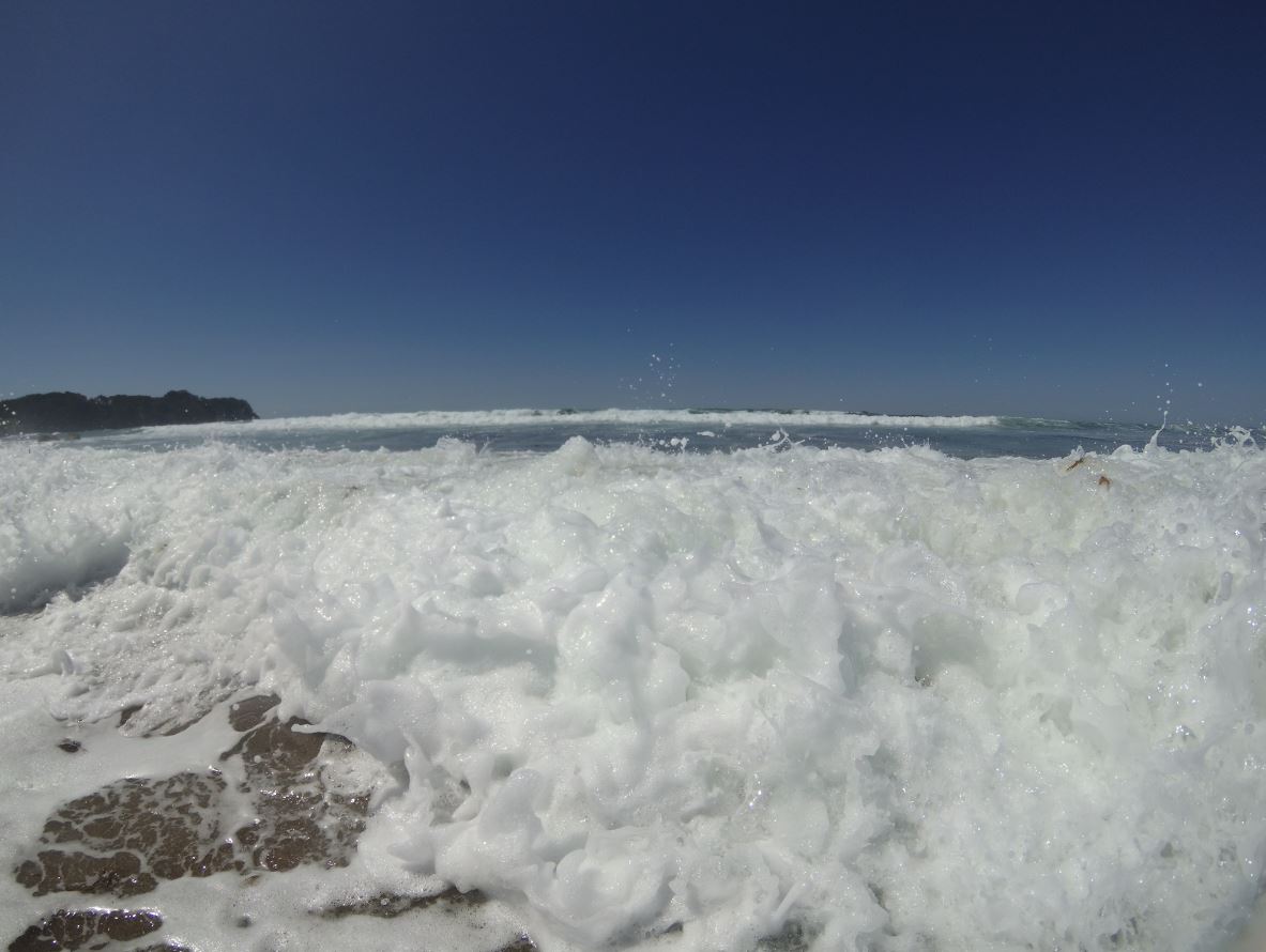 Hot Water Beach.JPG