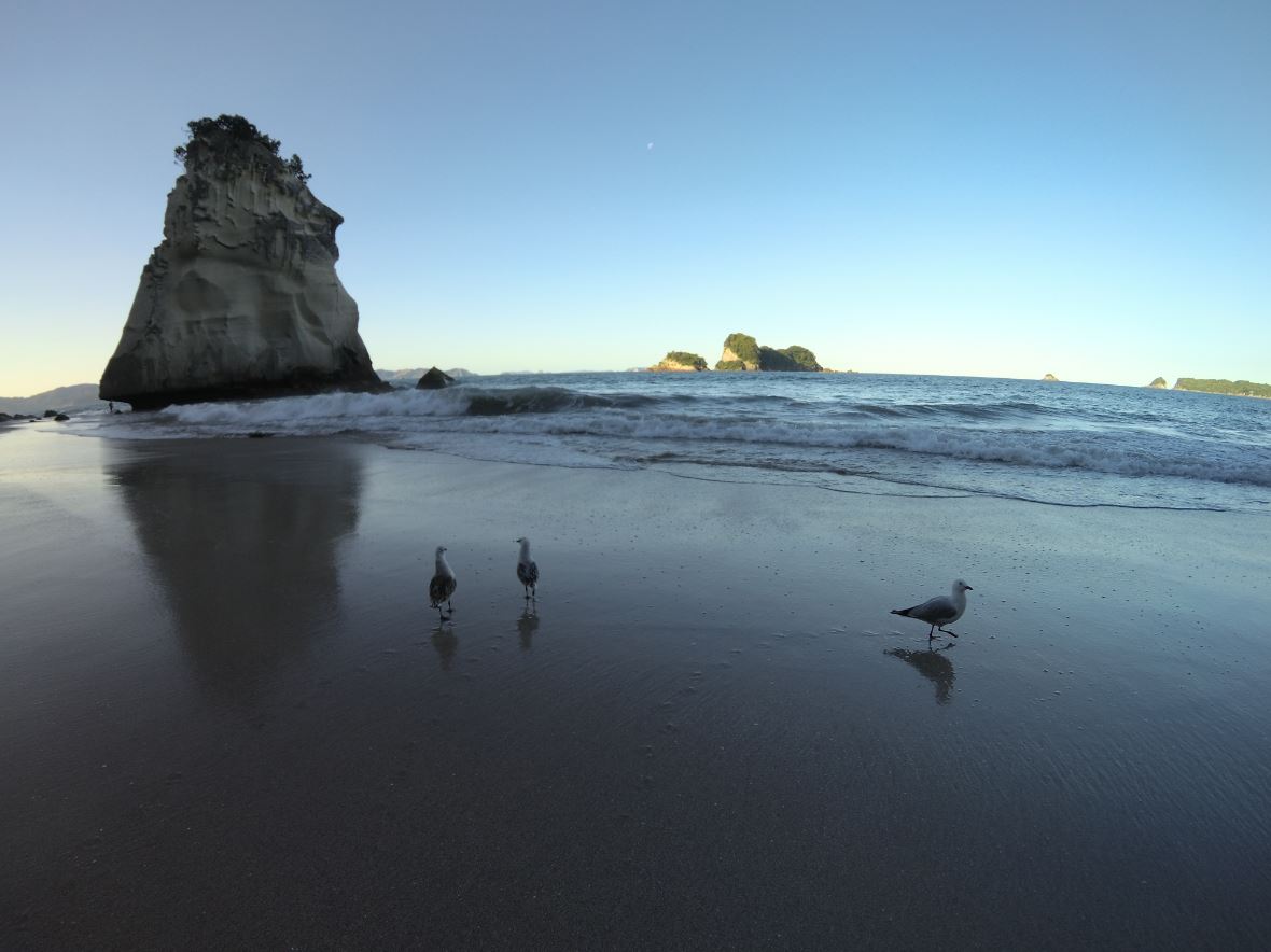 Plaża przy Cathedral Cove.JPG