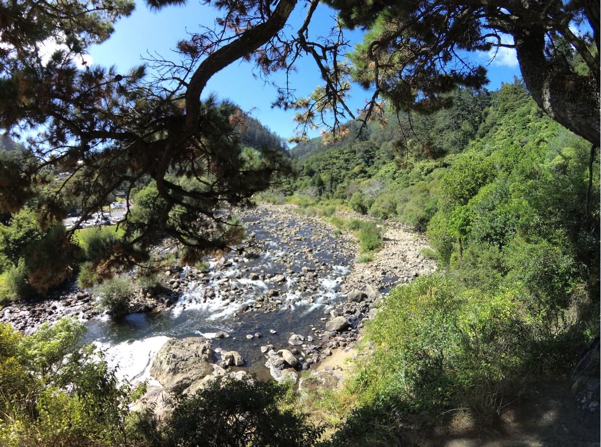 Szlak do Karangahake George.JPG