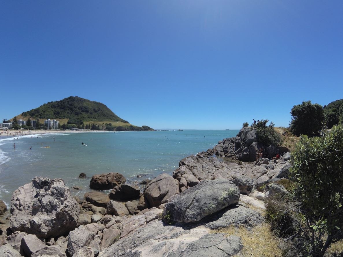 Tauranga.JPG