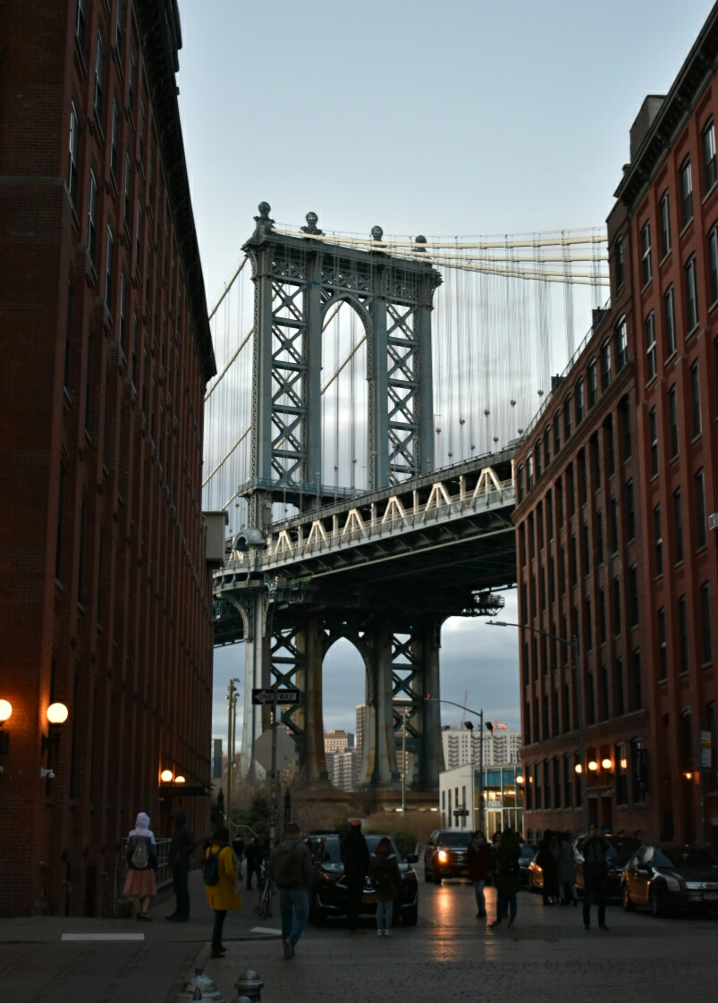 Dumbo.jpg