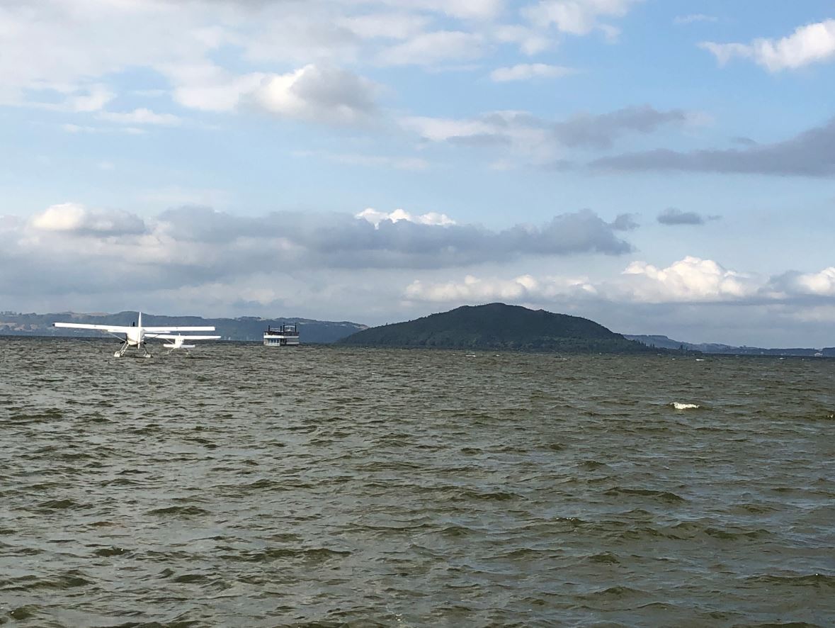 Jezioro Rotorua.JPG