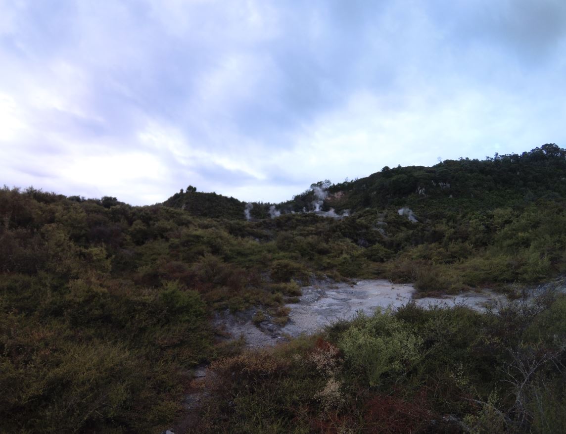 Te Puia 2.JPG
