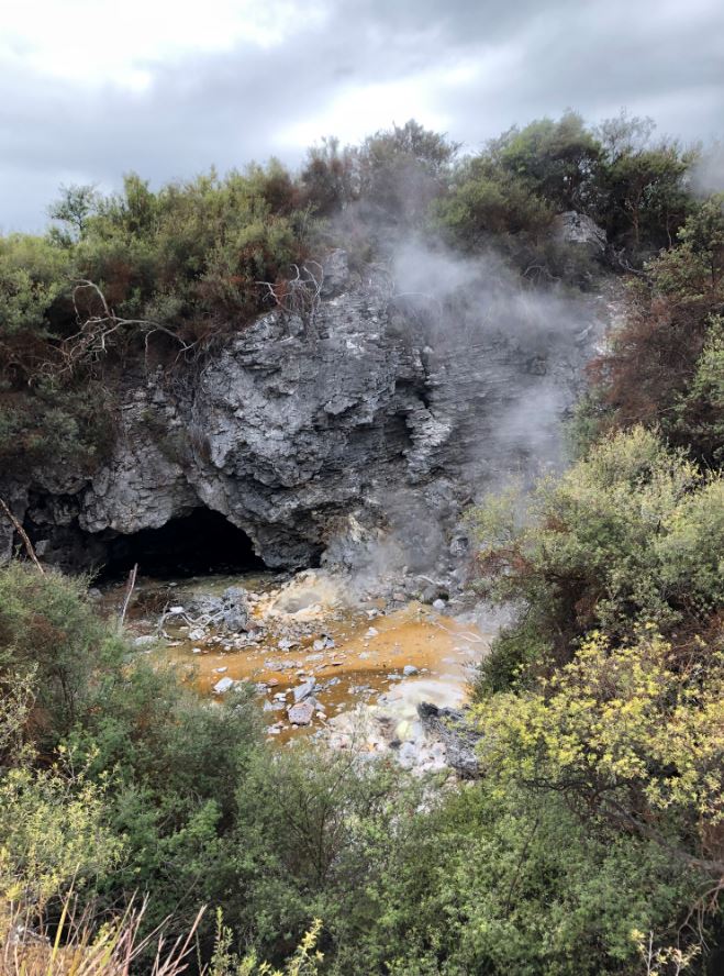 Te Puia 3.JPG