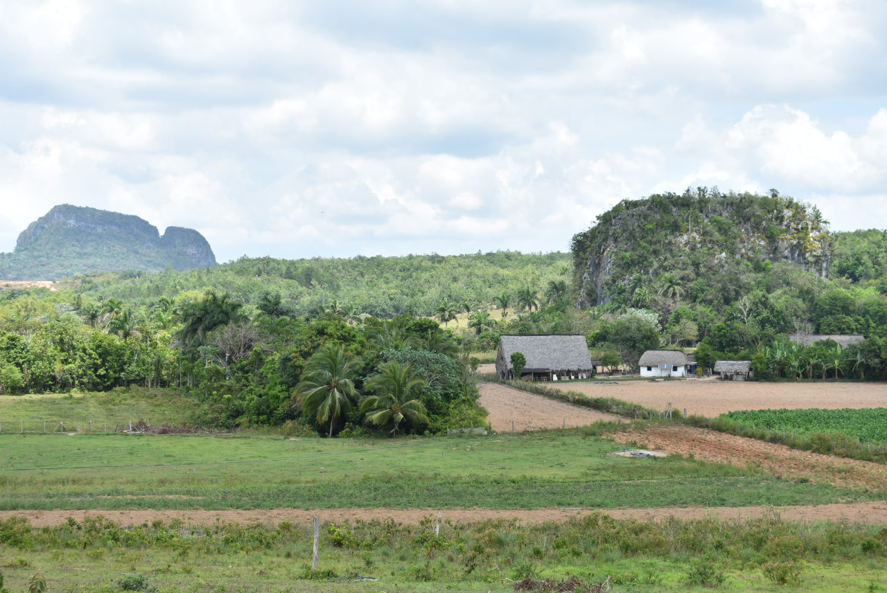 vinales 3.JPG