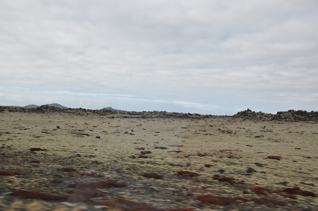 DSC_0026.JPG