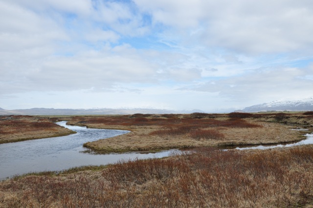 DSC_0112.JPG