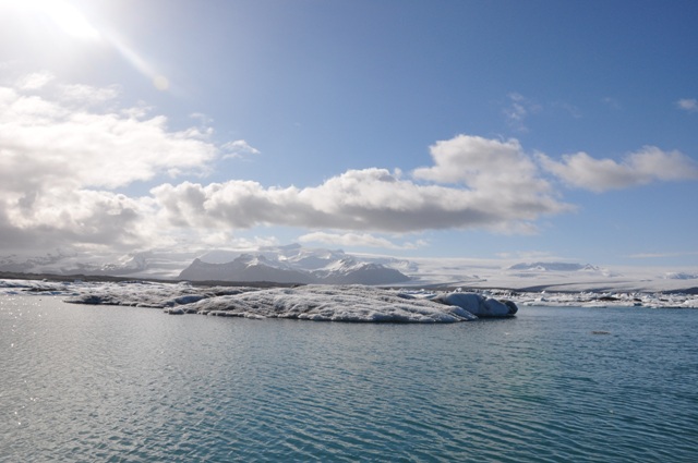 DSC_0702.JPG