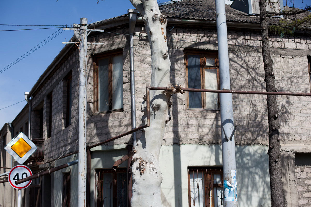 05.jpg