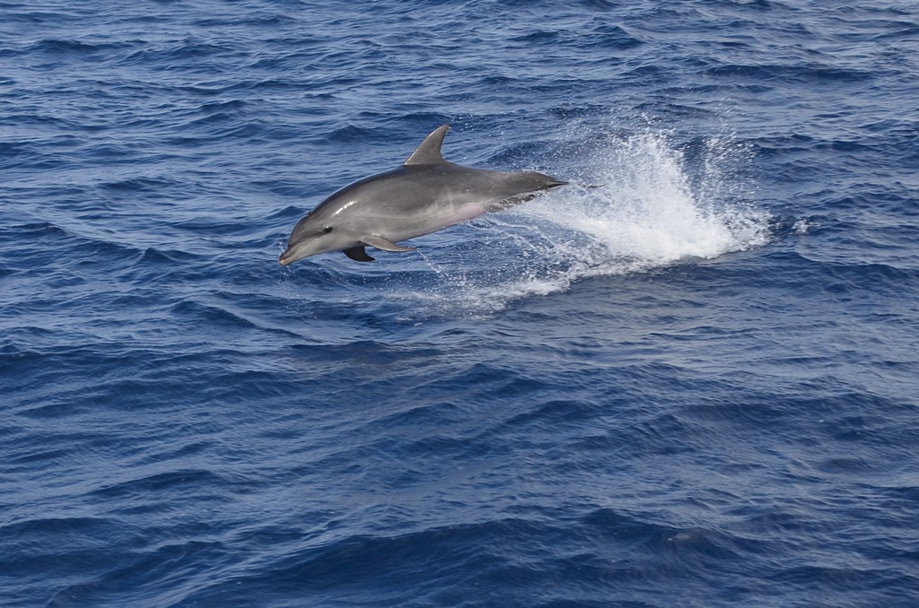 DSC_3812 x.JPG